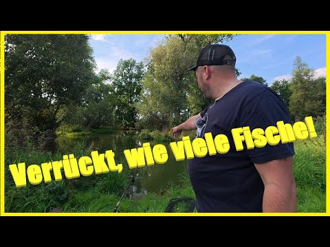 Fishing on a small river with bait fish and worms for great success #spree