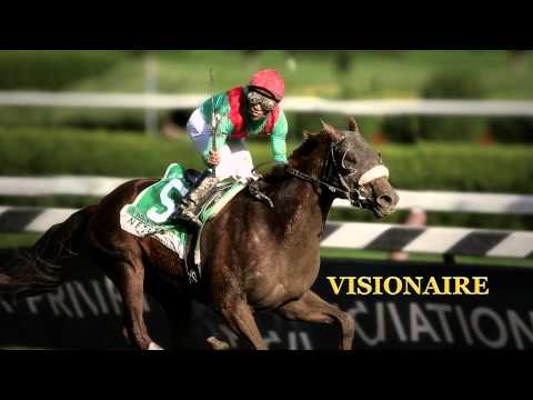 Visionaire - Johannesburg Ready To Run Sale 2014