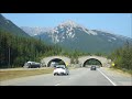 Road Trip: Canadian Rockies