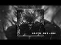 AGGRESSIVE BRAZILIAN PHONK AUDIOS AGGRESSIVE GYM FUNK PLAYLIST