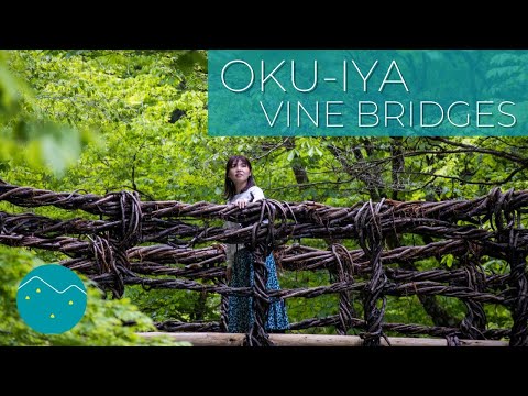 Oku-Iya Double Vine Bridges | Nishi-Awa, Japan