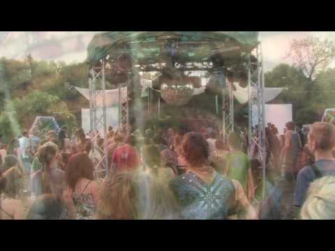 Psycrowdelica 2010 Megalopsy Live