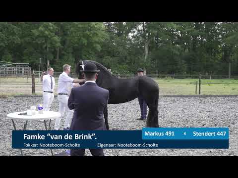 Locatiekeuring Stal Eppinga 10-6-2020