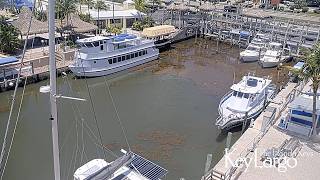 Courtyard by Marriott Key Largo Live WebCam - Key Largo, Florida Keys live webcam