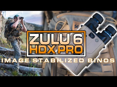 Review - NEW Sig Sauer Image Stabilized Binos - Leave the tripod at home?