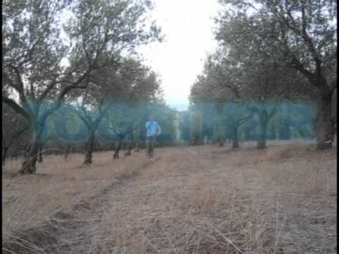 André - Pray for fortune (André Åhl Persson, andremusik.se, Album: Somehow)