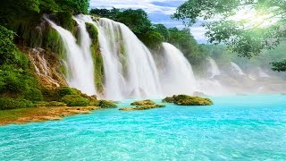 Healing Meditation Music, Relaxing Music, Music for Stress Relief, Background Music, ☯3195