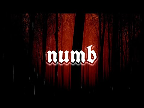 Lil Tonic - numb (Official Lyric-Video) (prod. V-E Beats)