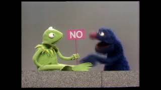 Sesame Street: Kermit the Frog &amp; Grover- NO
