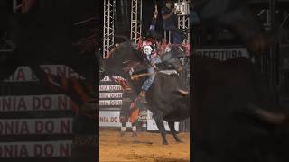 90,75 pontos - Maior nota 1° Round / S.J de Iracema Ronaldo Manoel vs Pertubado (RODEIO) #shorts