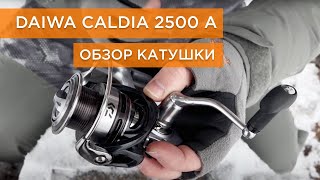 Катушка daiwa 09 caldia 2500