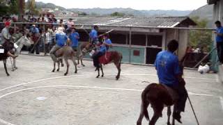 preview picture of video 'Yuscaran Polo sobre burro 4'