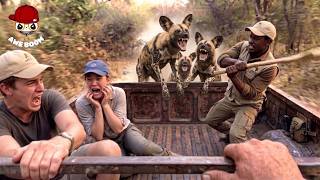 85 Incredible Safari Moments Caught On Camera! | Part 6