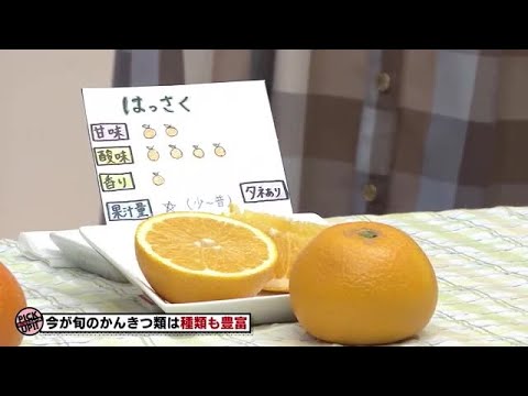 なぜ庭に硫黄を使うのですか？欠かせない4つの美徳  庭園