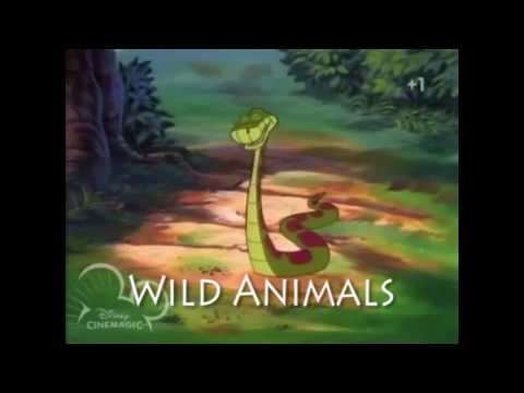 Home in the Neighborhood Part 8 - Enter Kaa