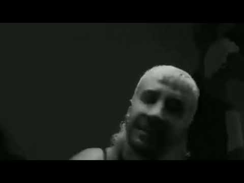 Enigma - Chameleo, Carol Biazin