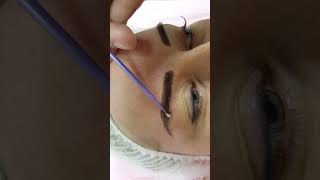 Eyebrows Cosmetic Tattoo Permanent Makeup by El Truchan @ Perfect Definition