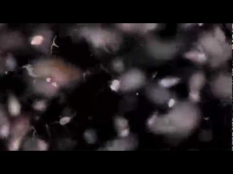 TARA OCEANS TEASER 2010 in english