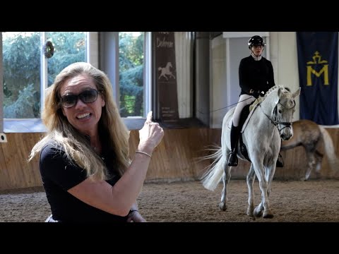 First tournament with a new dressage horse – disappointment or reward for the hard training?