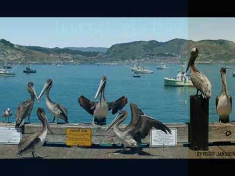 Sail Away Video
