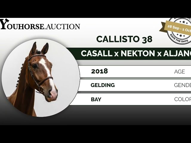 Calisto showvideo