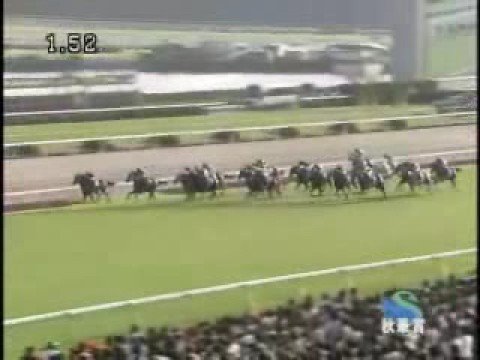 2008 秋華賞 SHUKA SHO