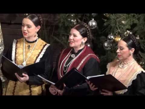 LADO u Sisku - Pivčići pivaše