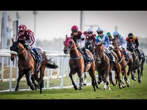 26th Race Meeting of Season 2018/2019