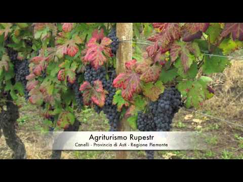Agriturismo Asti - Agriturismo Rupestr