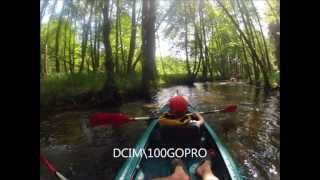 Spływ kajakowy 2013