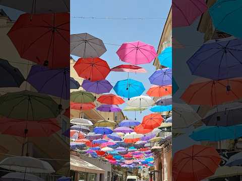 The Ultimate Summer in Sicily – You Won't Believe This! 😍🌴