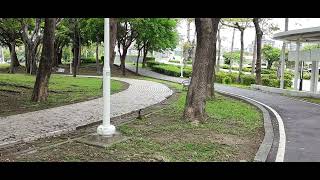 松鼠-高雄二二八紀念公園-2024.6.5-1