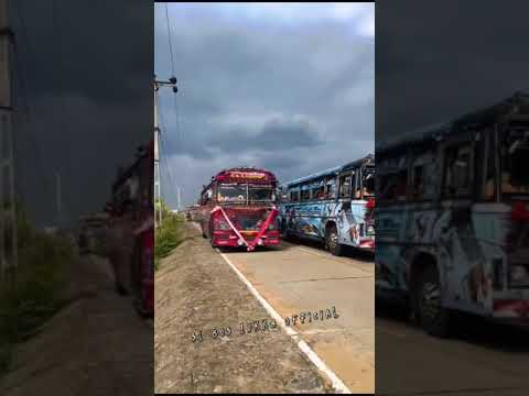 Dam Rejina New Videos | Dam Rejina Bus Dj | Dam Rejina Bus Race | Sri Lankan Super Bus Race 2023