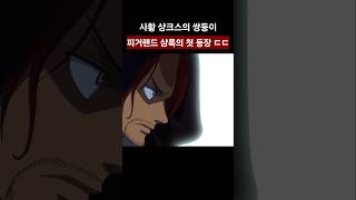 샹크스의 쌍둥이 피거랜드 샴록의 첫 등장