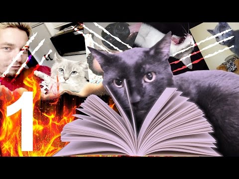 O Diário de Sylvester 1 - Pinguins