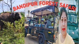 Bandipur Forest Safari | On Spot Safari Booking Bandipur | Bandipur Tiger Reserve Booking | Day 2