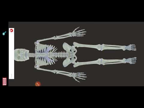 Human Anatomy -3D Atlas
