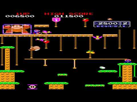 ARCADE MACHINES HACK MAME DONKEY KING JR BOOTLEG OF DONKEY KONG JR JUNIOR CRAZY BOOTLEG HOMEBREW