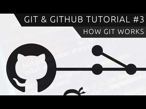 Git GitHub Tutorial for Beginners 3 How Git Works