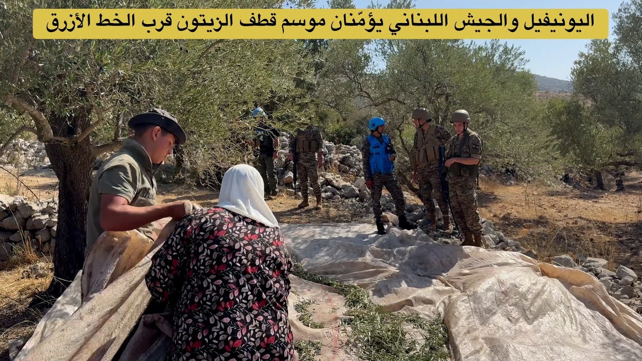 اليونيفيل والجيش اللبناني يؤمّنان موسم قطف الزيتون قرب الخط الأزرق