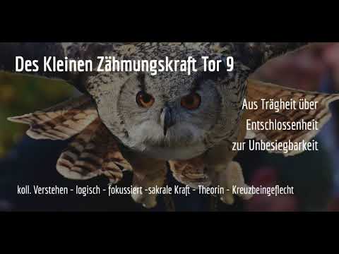 Human Design Tor 9   #AllSeele2Go   Mehr Frieden geht immer