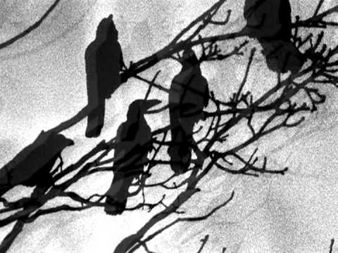 The Solitude of Ravens - Masahisa Fukase