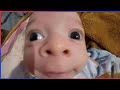 World S HARDEST TRY NOT TO LAUGH Challenge IMPOSSIBLE 30