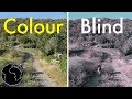 How Color Blindness Works - Human Interests How Color Blindness Works
