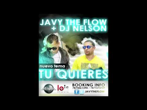 Javy The Flow - Tu Quieres (Prod. By Dj Nelson & Marioso) [Audio]