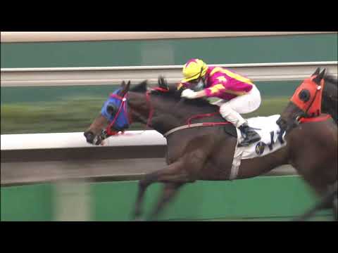 17/4/2021 (600) Lucky Ruby - Matthew Chadwick