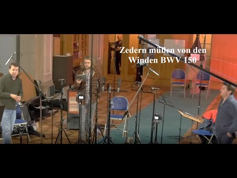 J.S. Bach: aria Zedern müßen von den Winden BWV 150 - Academy of Ancient Music
