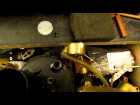 comment augmenter son hippocampe