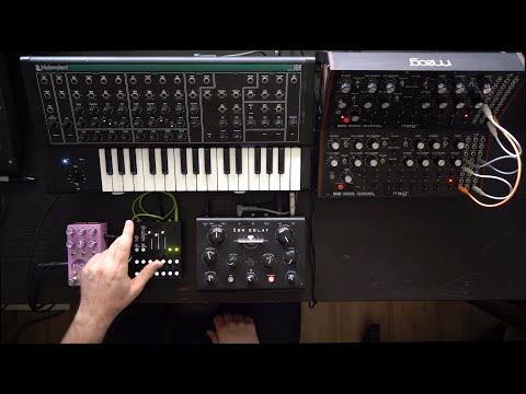 Apocalyptic synth jam with PWM Malevolent, Meng Qi Wingie 2, Chase Bliss Mood MkII, Zen Delay, DFAM