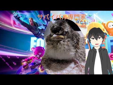 フォールガイズ、ゲーム配信、【かる/ＶＴｕｂｅｒ】かるチャンネル のライブ配信